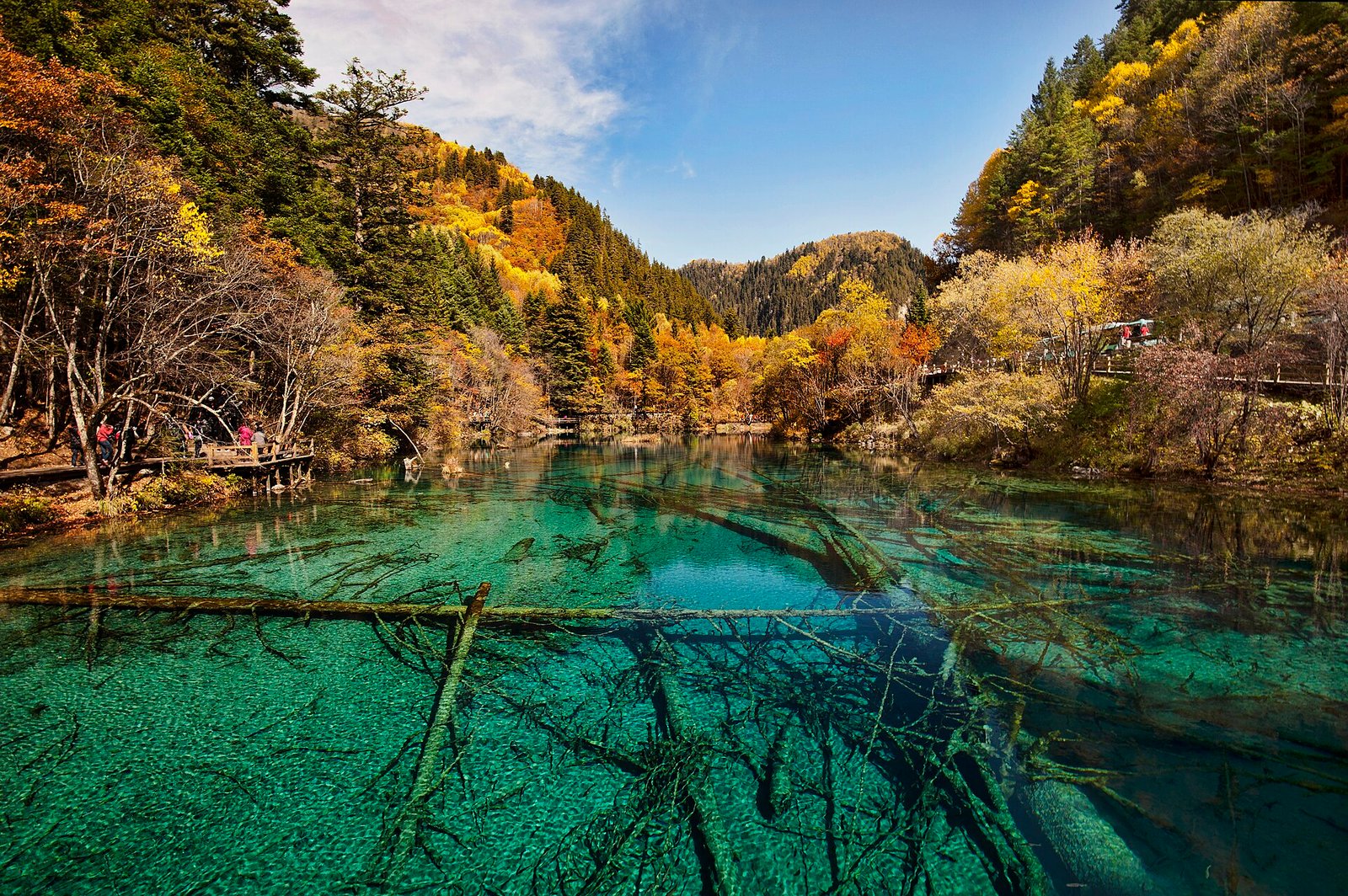Jiuzhaigou in Jiuzhaigou Five Flower Lake