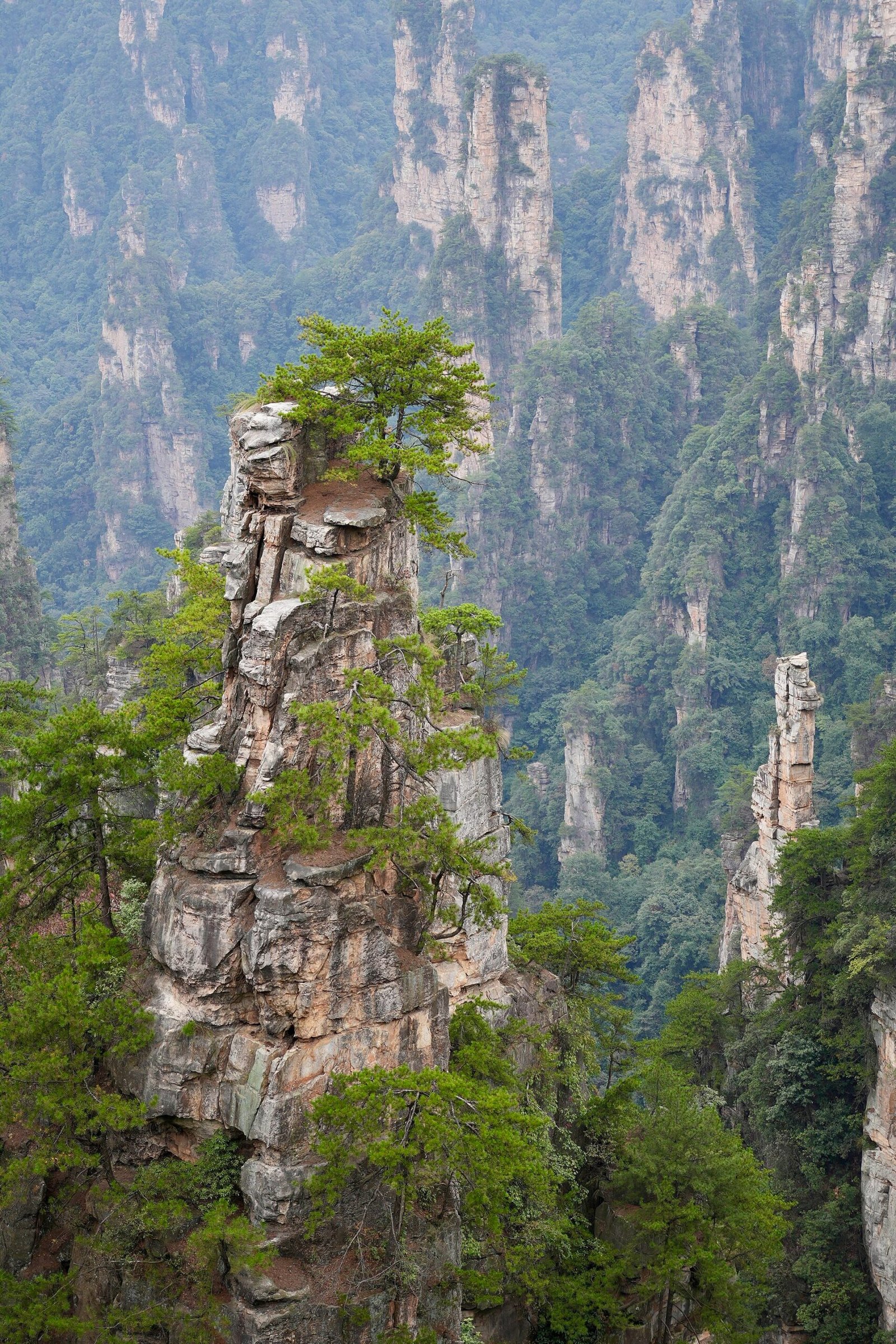 Zhangjiajie in Zhangjiajie National Forest Park pillars