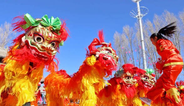 Chinese lion dance performance